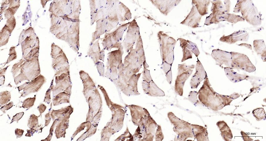 产品细节图片14