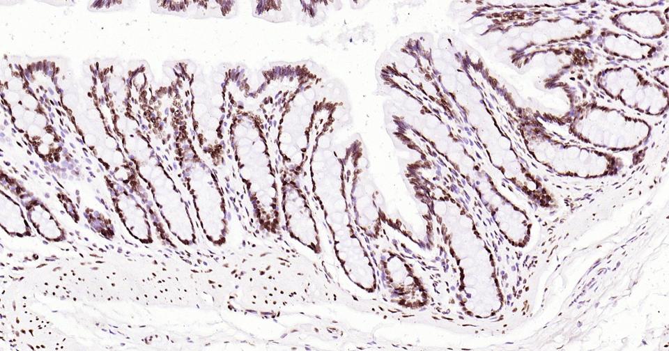 产品细节图片19