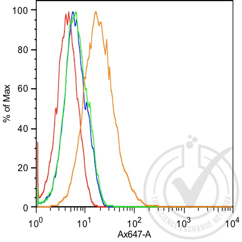 CDH6 Rabbit pAb(bs-5823R)-50ul