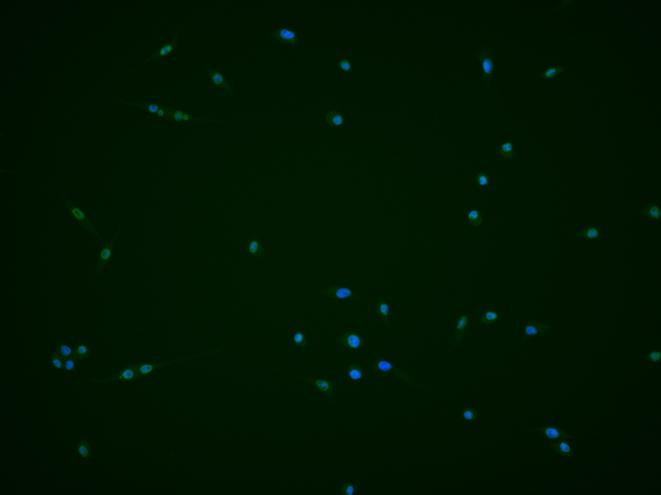 产品细节图片11