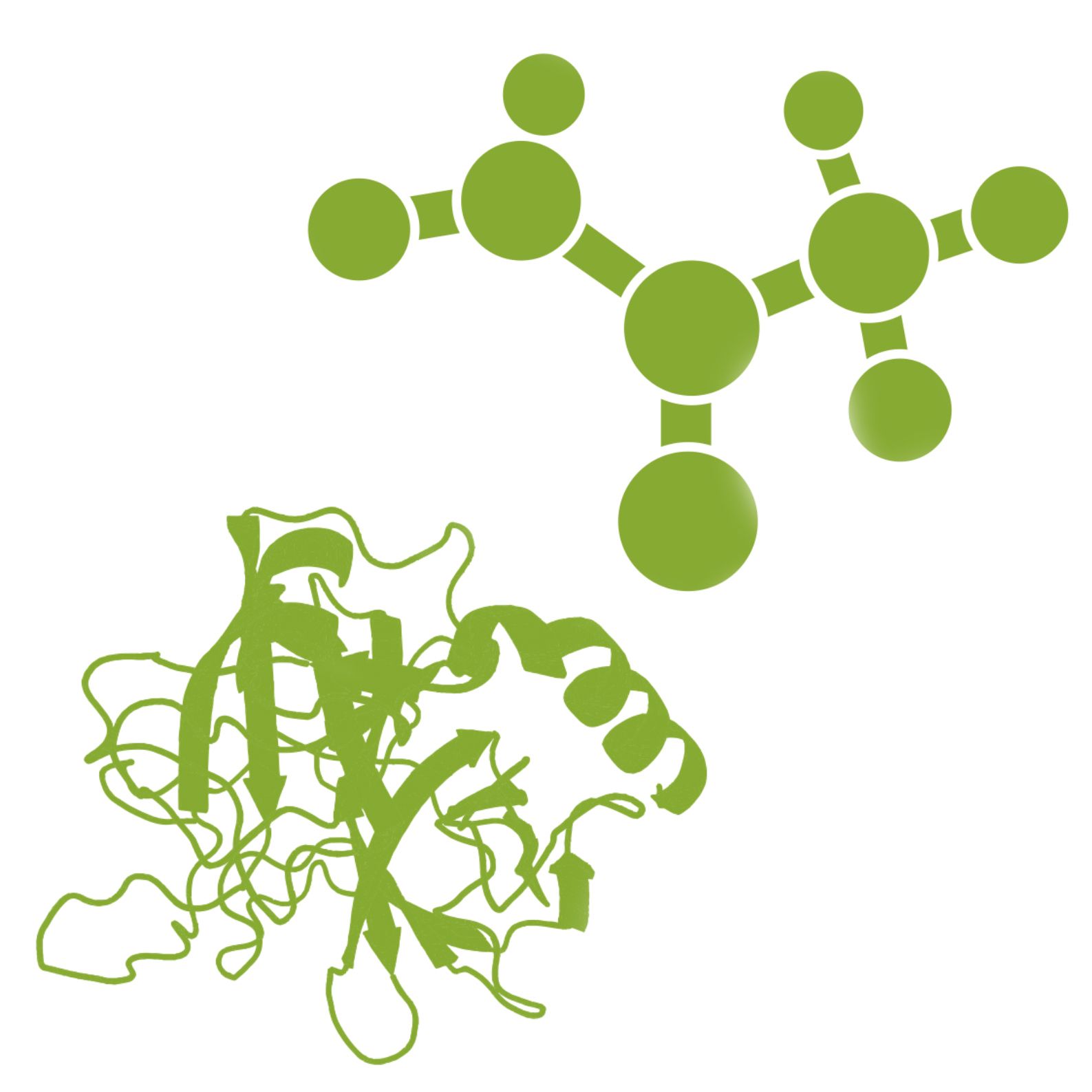 Glu-Glu Tag Peptide(bs-2115P)-500ug