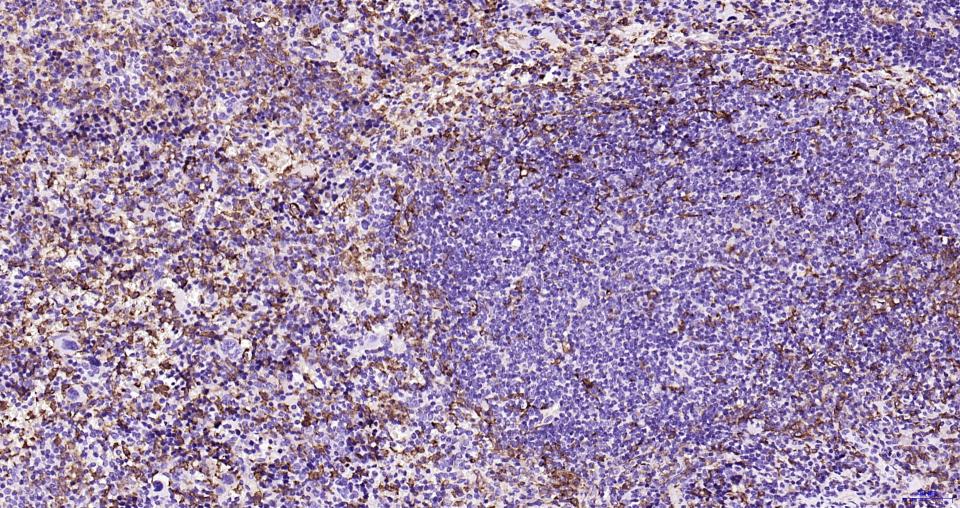 产品细节图片13