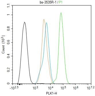 PLK1 Rabbit pAb(bs-3535R)-50ul