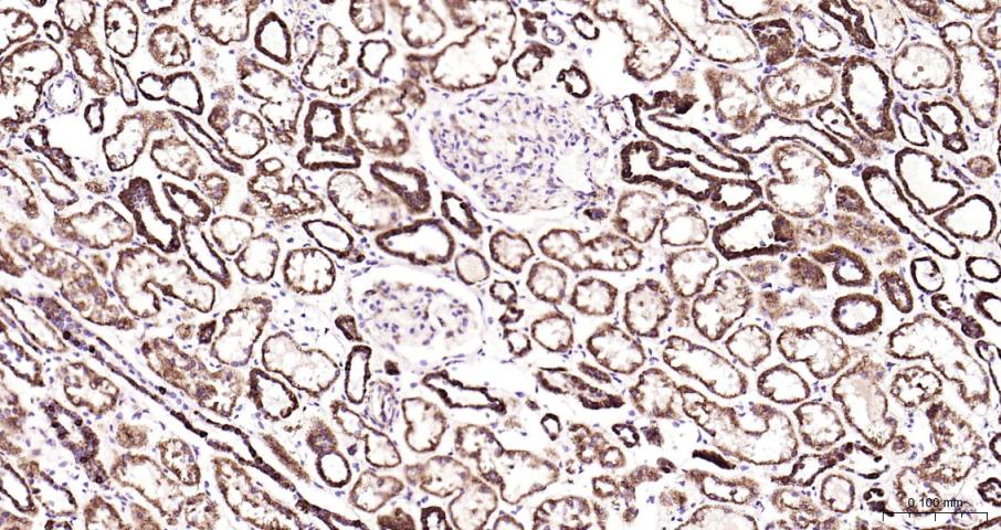 产品细节图片12