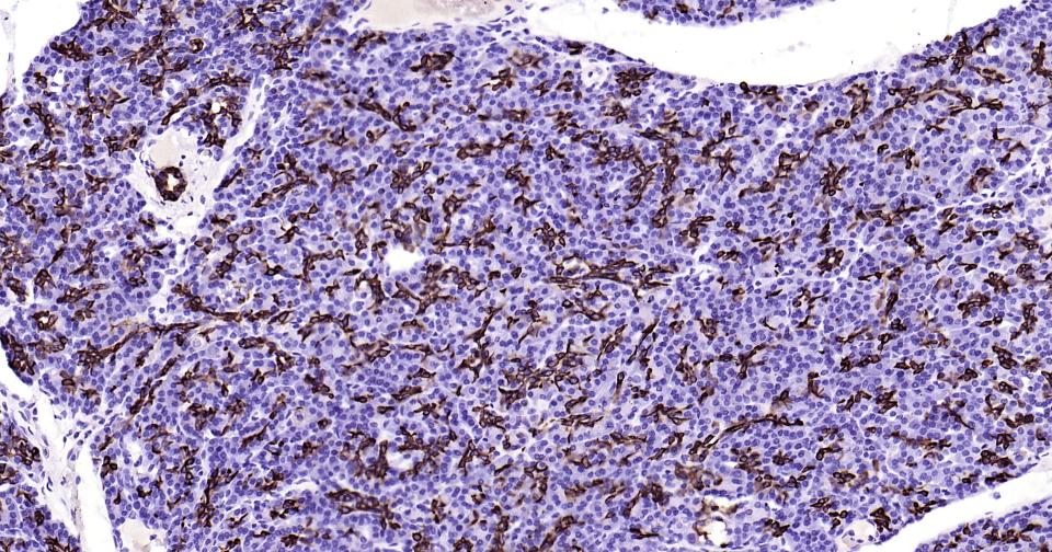 产品细节图片12