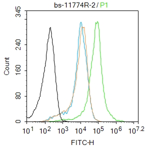 WRB Rabbit pAb(bs-11774R)-50ul