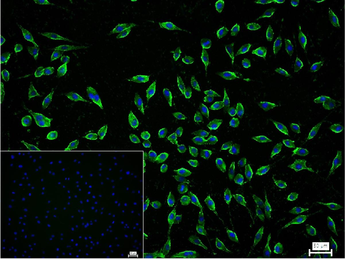 产品细节图片11