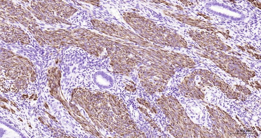 产品细节图片10