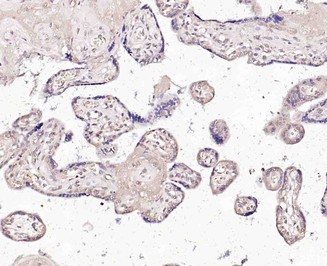 产品细节图片10