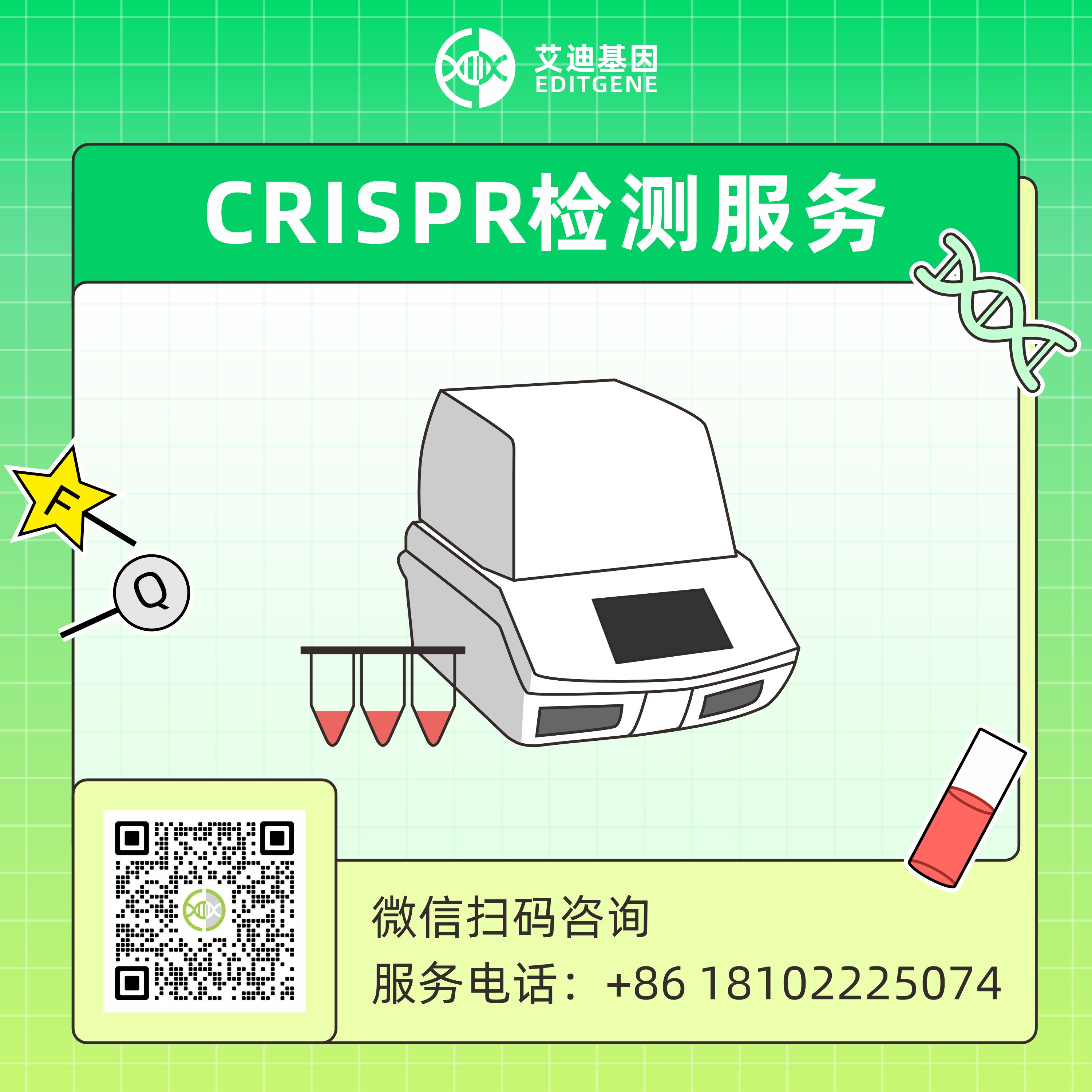 CRISPR检测服务