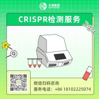 CRISPR检测服务