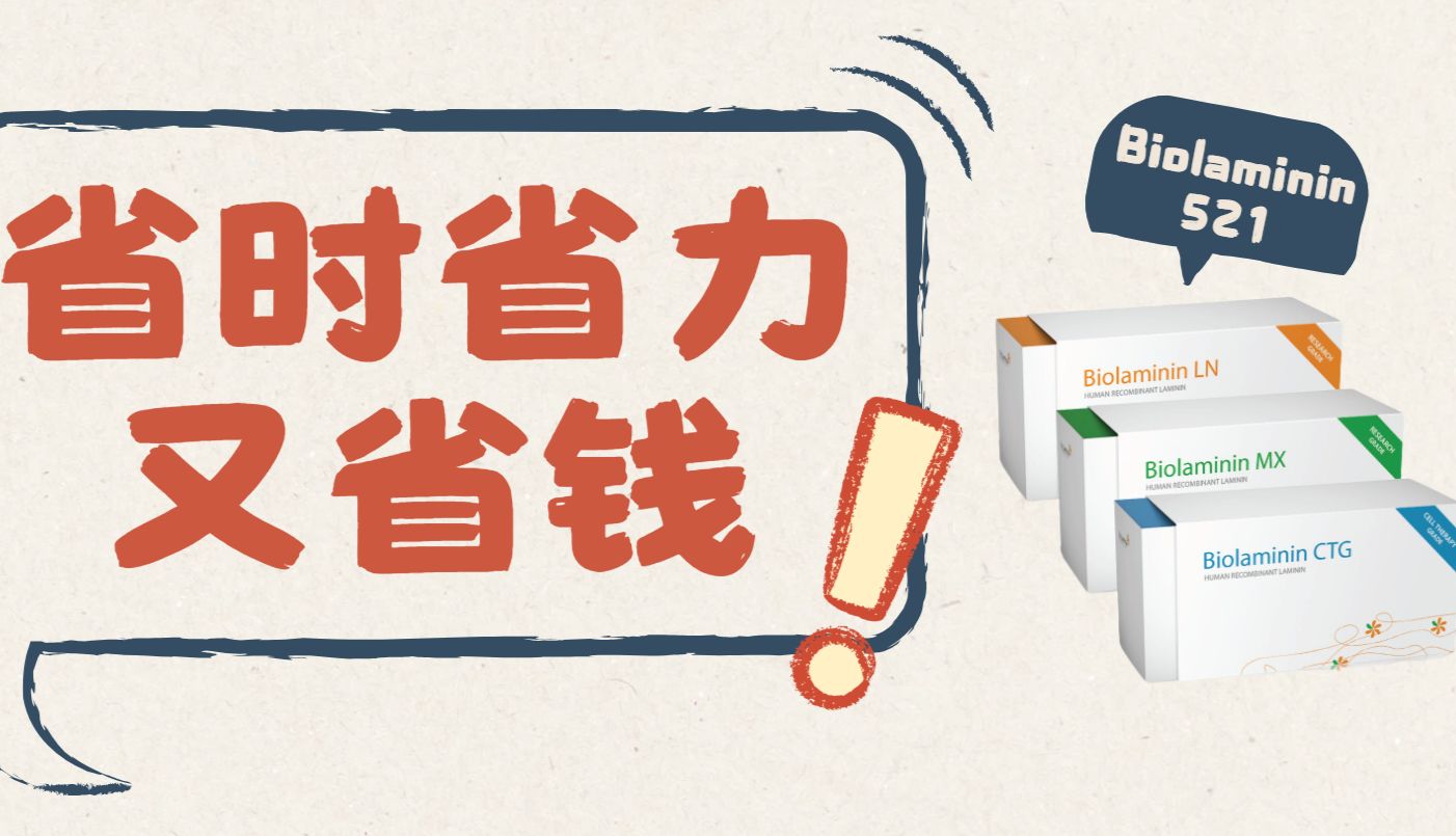 干细胞培养：使用包被基质laminin521培养人多能干细胞hPSC