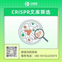 CRISPR sgRNA文库筛选服务 （敲除/干扰/激活）