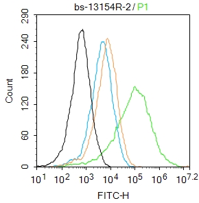 Ferredoxin Reductase Rabbit pA
