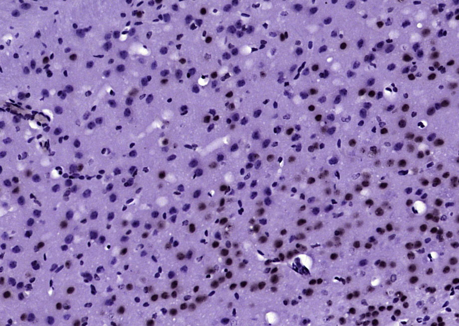 产品细节图片12