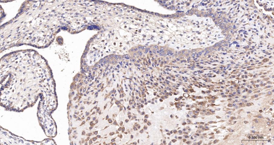 产品细节图片16