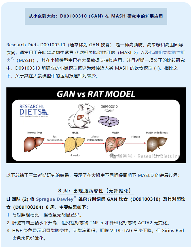 从小鼠到大鼠：D09100310 (GAN) 在 MASH 研究中的扩展应用
