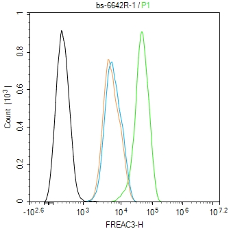 E2F8 Rabbit pAb(bs-4265R)-50ul