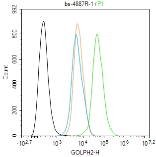 GOLPH2 Rabbit pAb(bs-4887R)-50