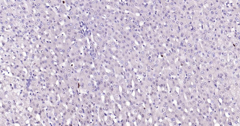 产品细节图片15