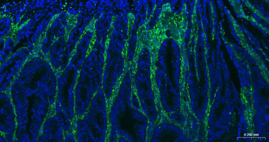 产品细节图片12