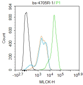 MLCK Rabbit pAb(bs-4705R)-50ul