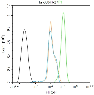 MST1 Rabbit pAb(bs-3504R)-50ul