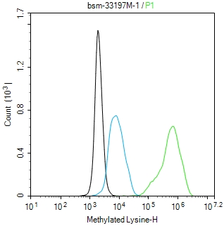 Pan Methylated Lysine Mouse mA