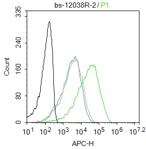 CLIC6 Rabbit pAb(bs-12038R)-50