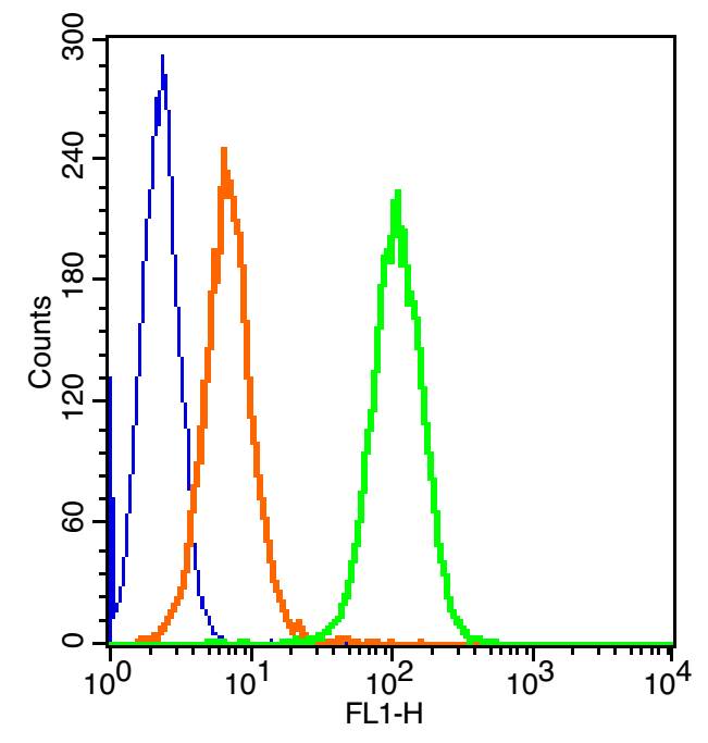 CD69 Rabbit pAb(bs-2499R)-50ul