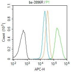MDH1 Rabbit pAb(bs-3996R)-50ul