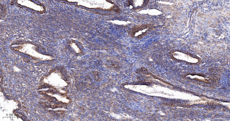 产品细节图片16