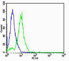 FOXA2 Rabbit pAb(bs-2358R)-50u