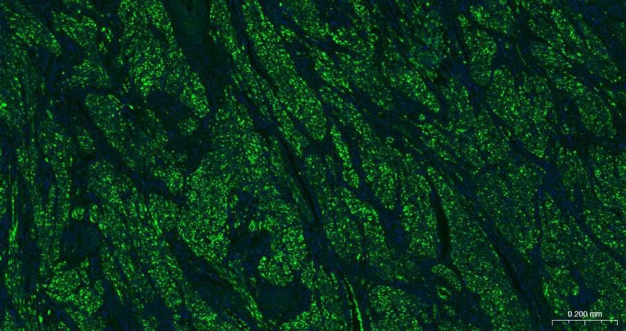 产品细节图片18