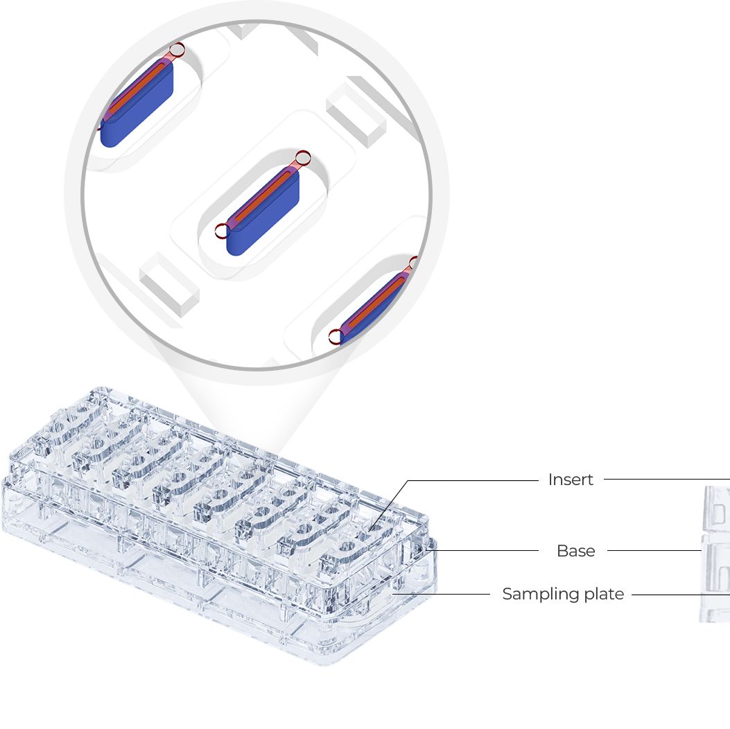 点成生物MEPS-TBC-WL 3D器官芯片 立即咨询