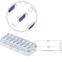点成生物MEPS-TBC-WL 3D器官芯片 立即咨询