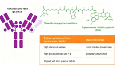 新一代ADC的里程碑：T-DXd（DS-8201）如何重塑癌症治疗格局？