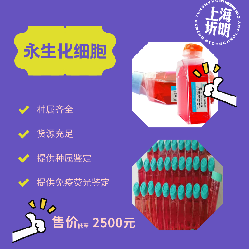 小鼠白血病克隆细胞系；L6565(STR)