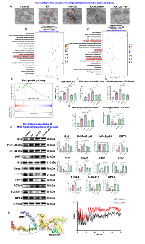 技术资料图片14