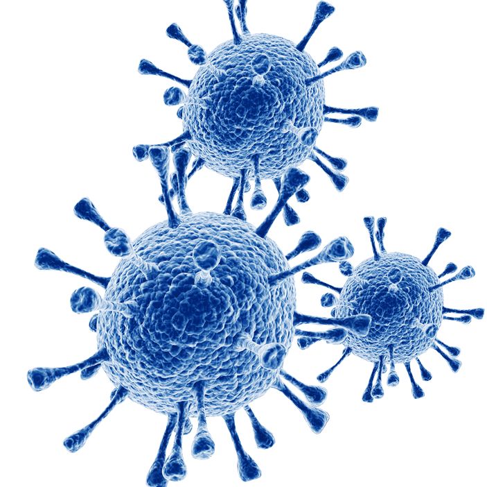 慢病毒包装服务