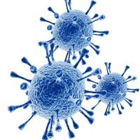 慢病毒包装服务