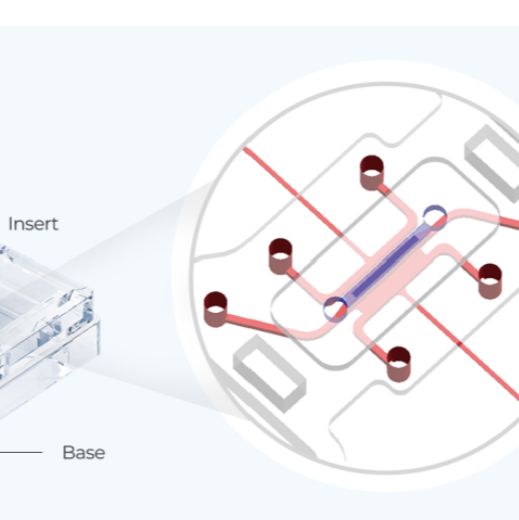 点成生物MEPS-TBC 3D器官芯片