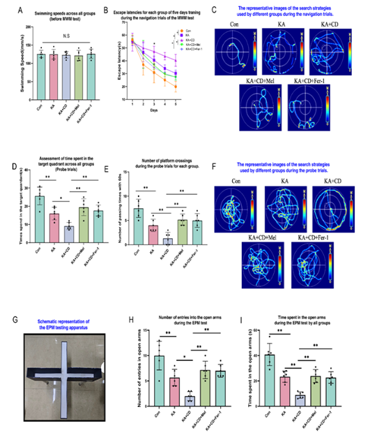 技术资料图片12