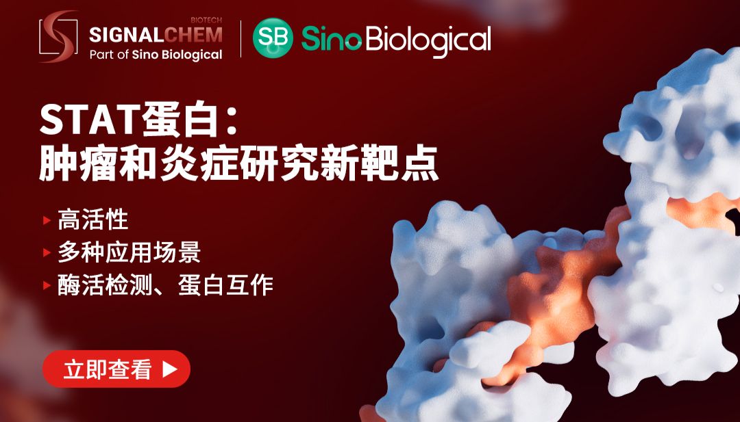 30年1.5万篇论文！STAT蛋白在癌症研究中的3个应用实例解析