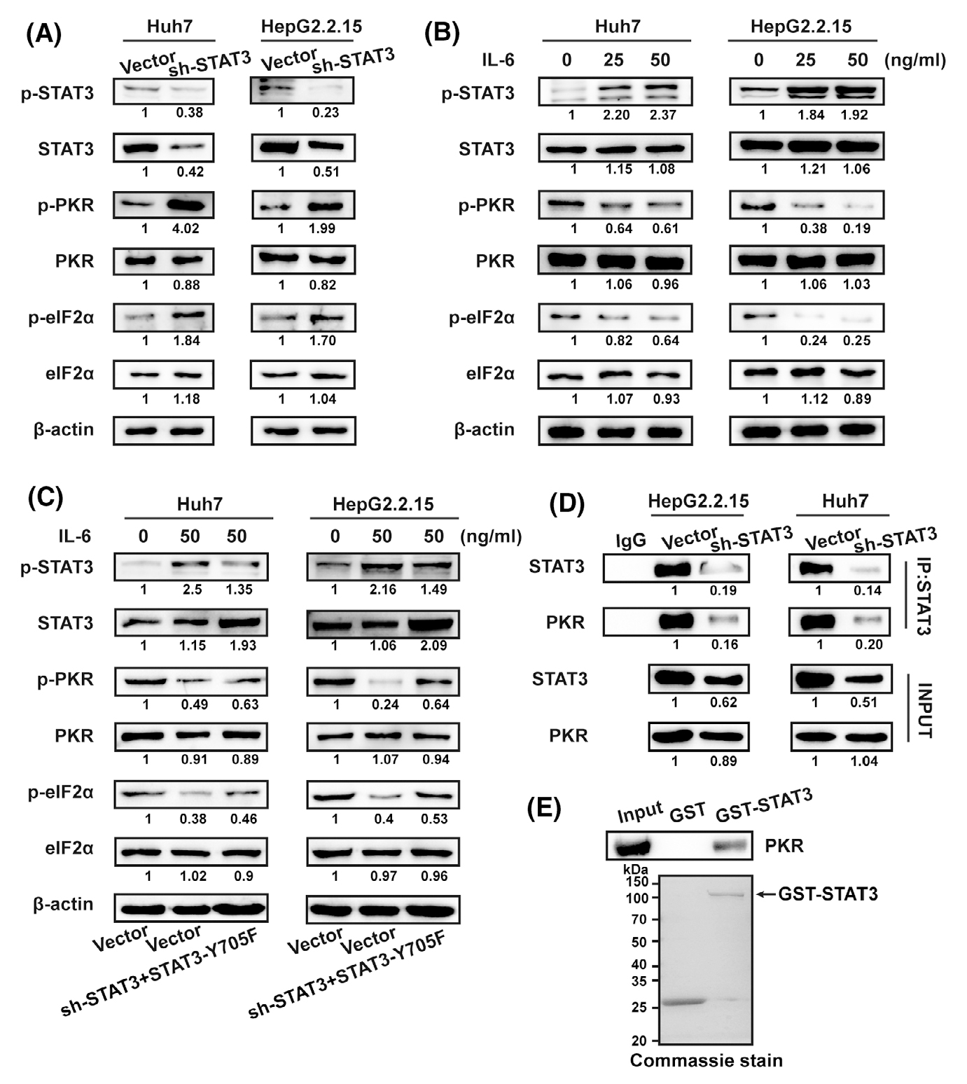 30年1.5万篇论文！STAT蛋白在癌症研究中的3个应用实例解析