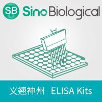 Human RAGE ELISA Kit
