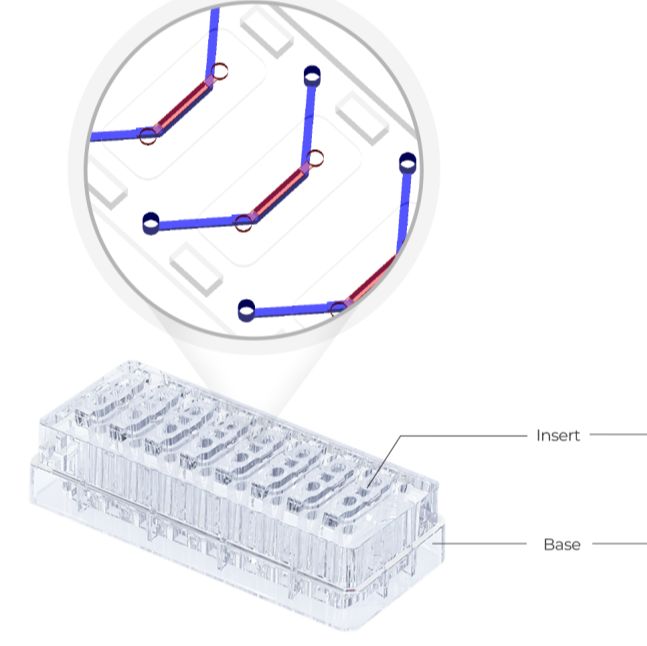 点成生物MEPS-TBC-CH 2D器官芯片