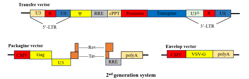 慢病毒包装服务