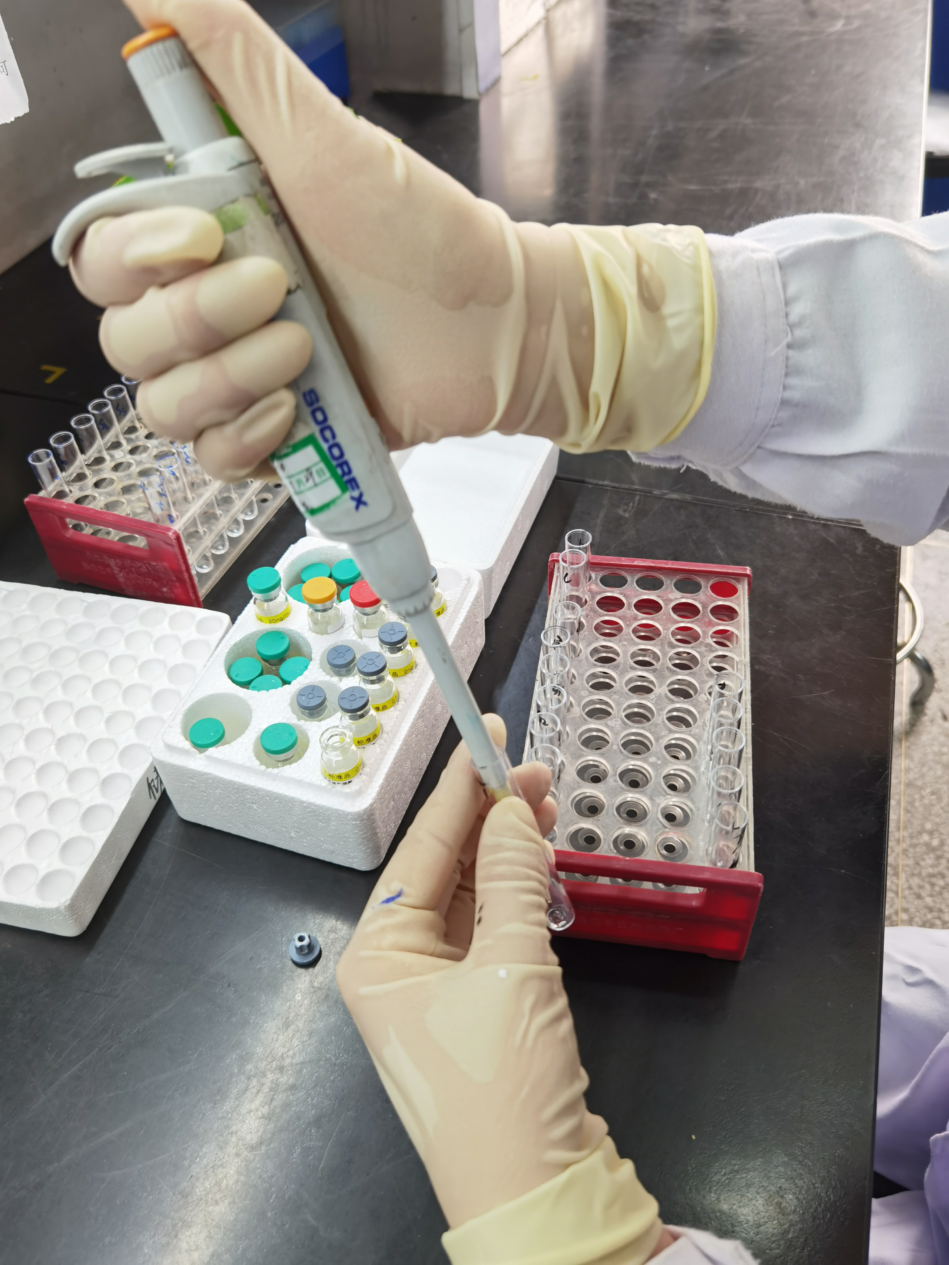 放免实验技术服务,放免代测