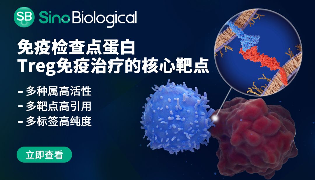 Treg细胞×免疫检查点蛋白，两大诺贝尔奖“珠联璧合”将会碰撞出怎样的机遇？